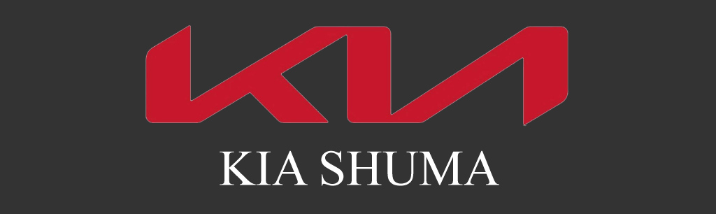 descargar-manual-despiece-kia-shuma-pdf